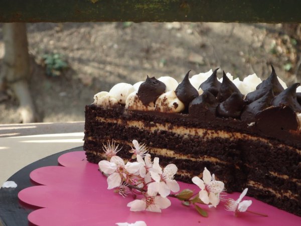 00_csoki_torta