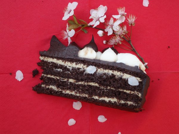 06_csoki_torta